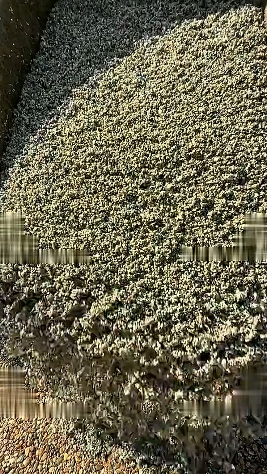 Close view of freshly mixed resin bound aggregate ready to be laid