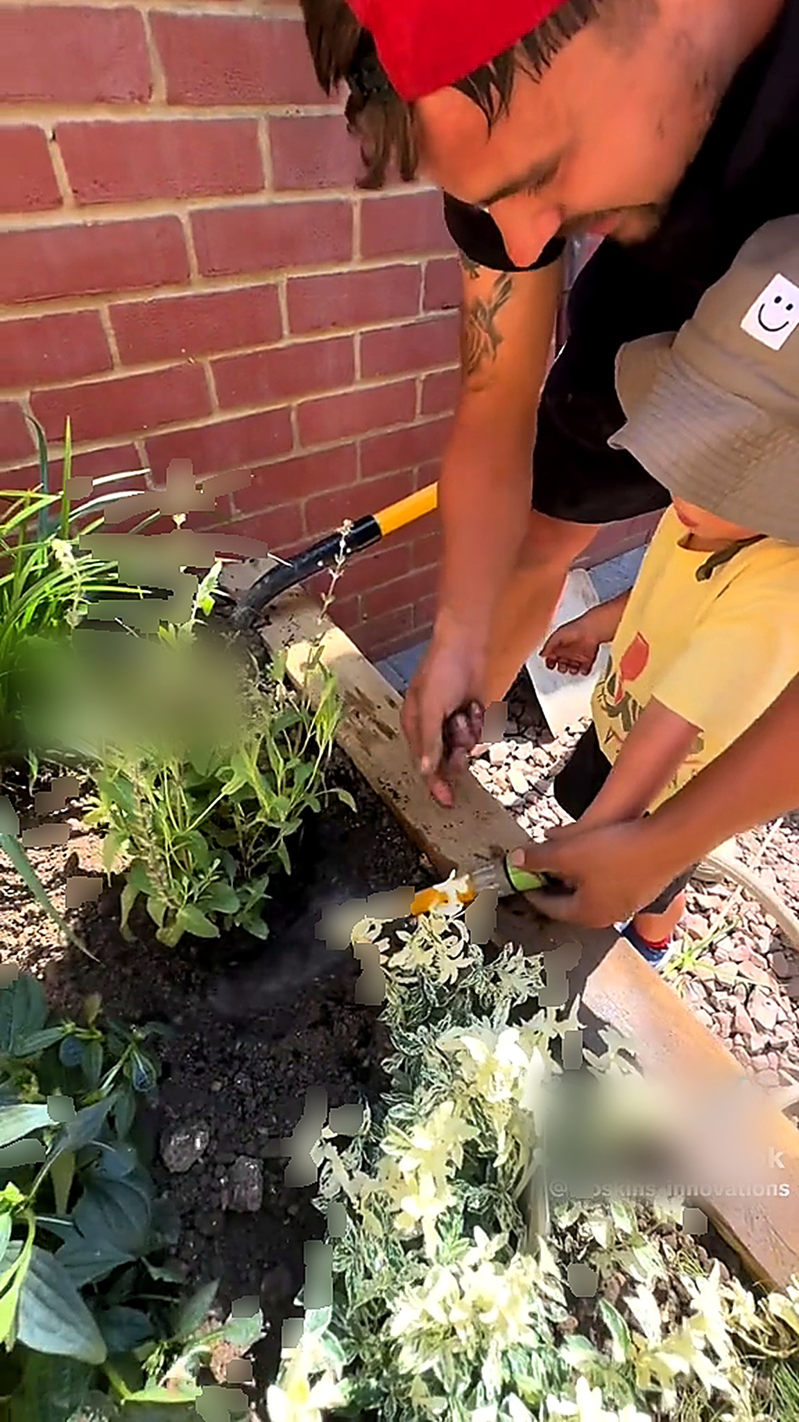 Planting being placed into a new timber raised bed
